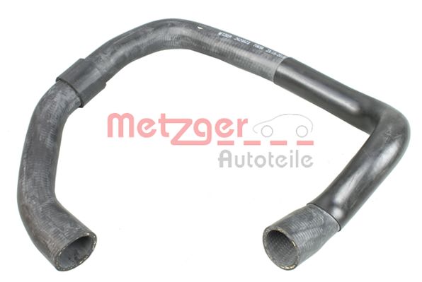 Radiator Hose (2420823)