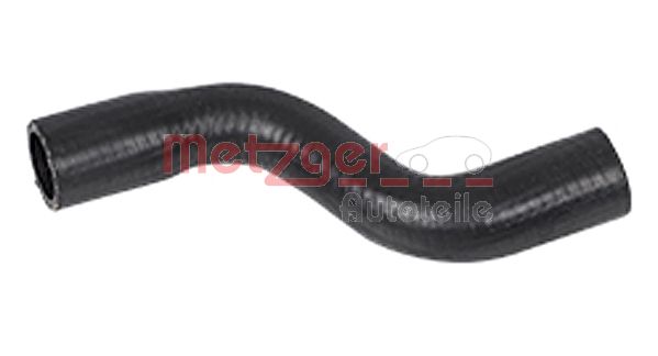 Radiator Hose (2420217)