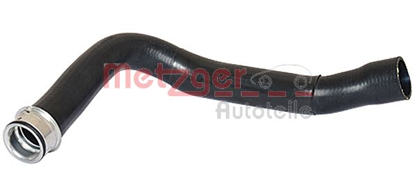 Radiator Hose (2420127)