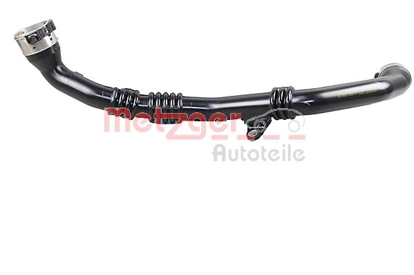 Charge Air Hose (2400574)