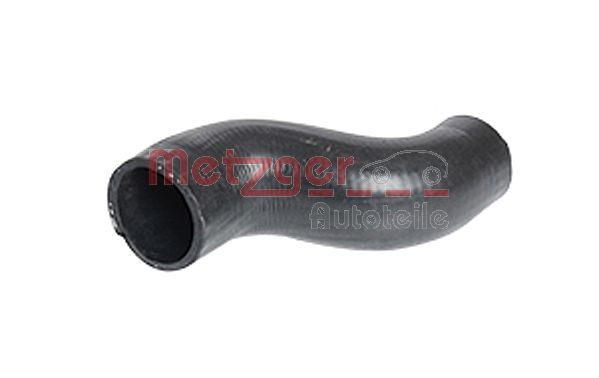 Radiator Hose (2420697)