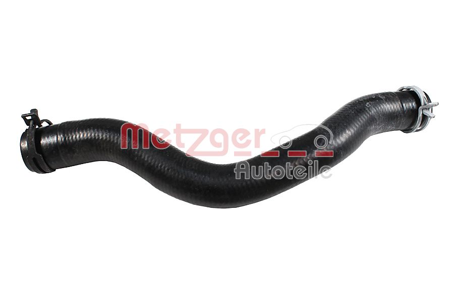 Radiator Hose (2421570)
