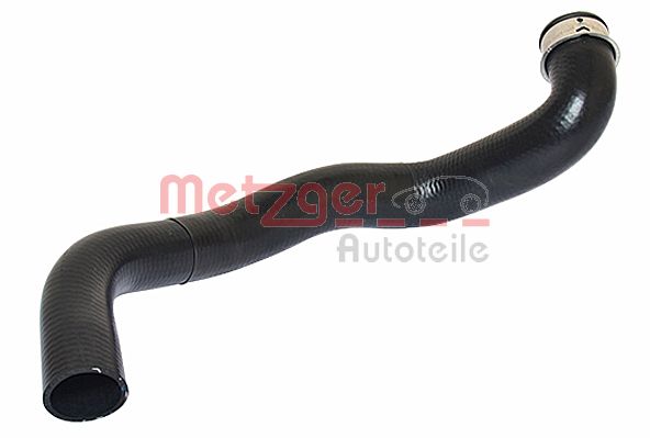 Radiator Hose (2420122)
