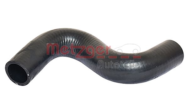 Radiator Hose (2420707)
