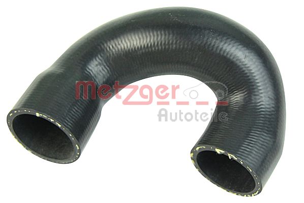 Radiator Hose (2420631)