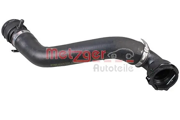 Radiator Hose (2420670)