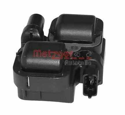Ignition Coil (0880054)