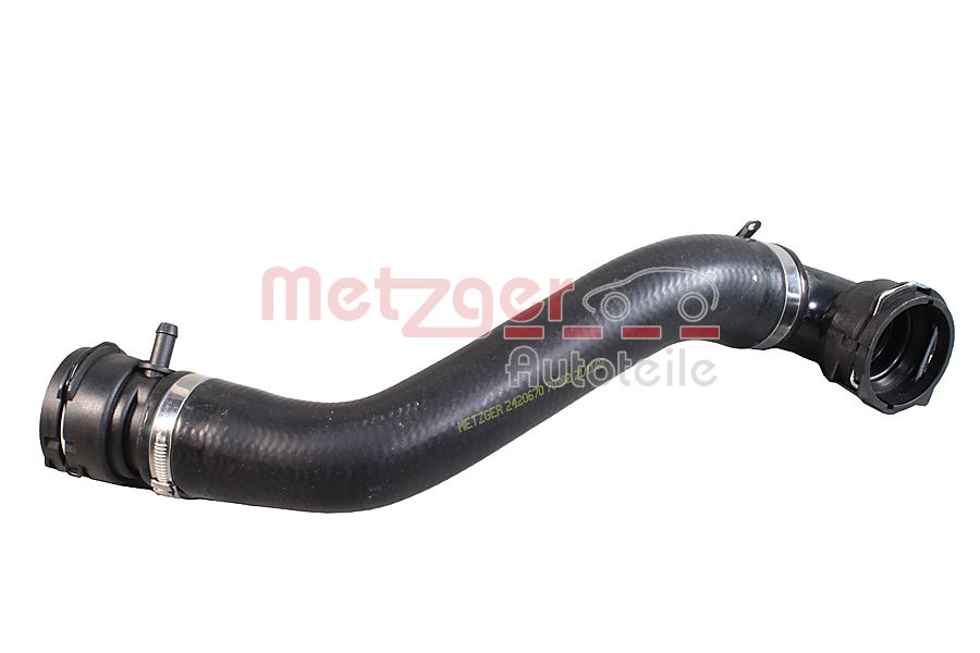 Radiator Hose