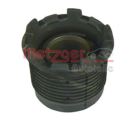 Bushing, axle beam (52061308)
