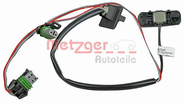 Switch, tailgate release