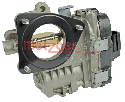 Throttle Body (0892149)