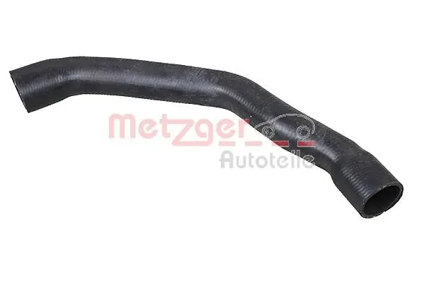 Radiator Hose (2420338)