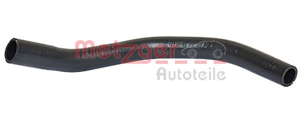 Radiator Hose (2420043)