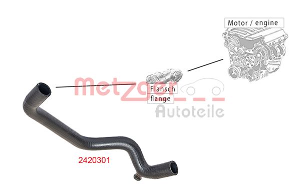 Radiator Hose (2420301)