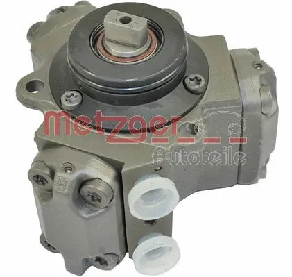 High Pressure Pump (0830002)