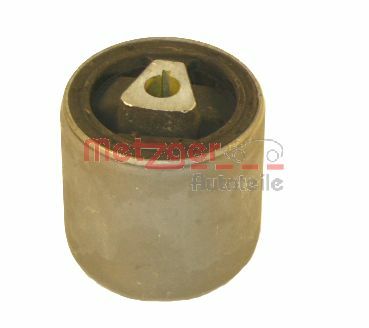 Mounting, control/trailing arm (52008308)