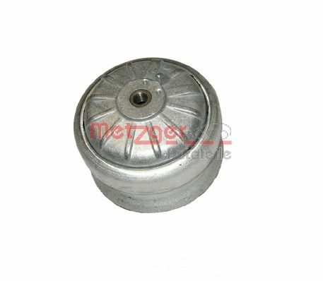 Mounting, engine (8050431)