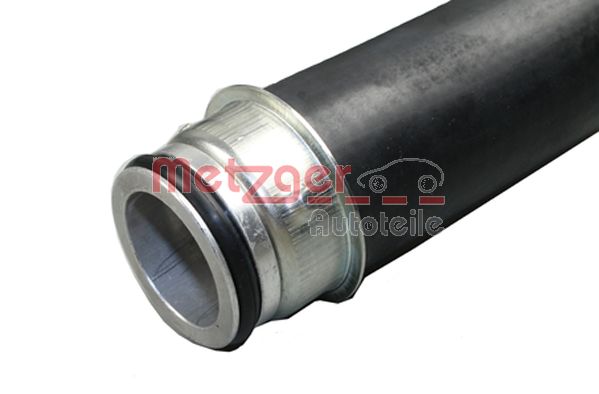 Radiator Hose (2420847)