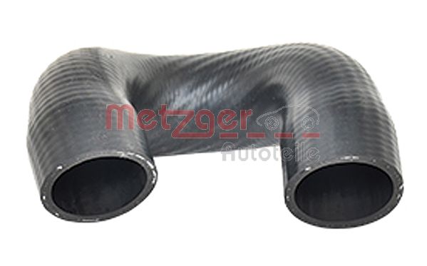 Radiator Hose (2420009)