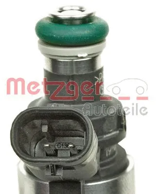 Injector (0920014)