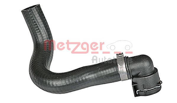 Radiator Hose
