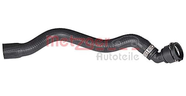 Radiator Hose (2420785)