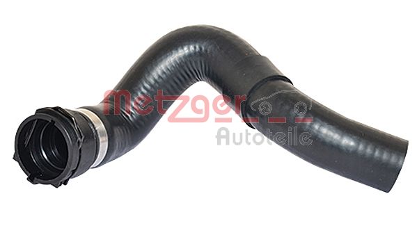 Radiator Hose (2420457)