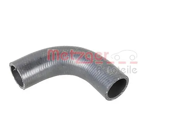 Radiator Hose (2420944)