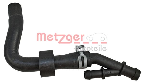 Radiator Hose (2420792)