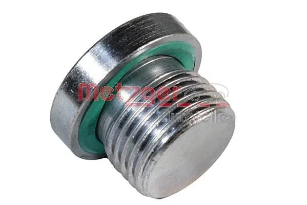 Screw Plug, transmission housing