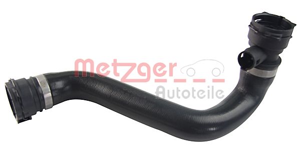 Radiator Hose (2420505)