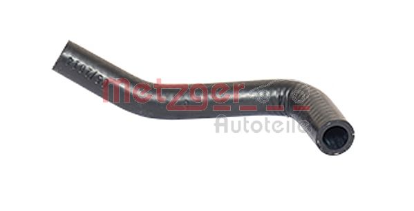 Radiator Hose (2420451)