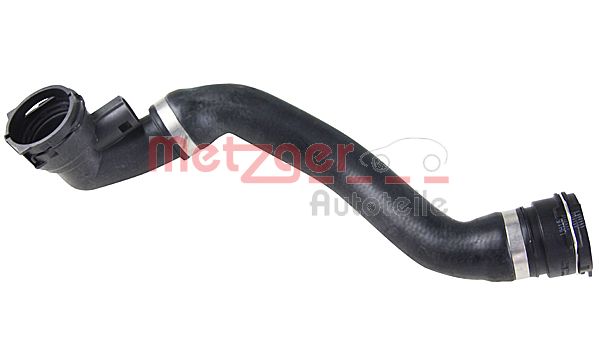 Radiator Hose (2420511)