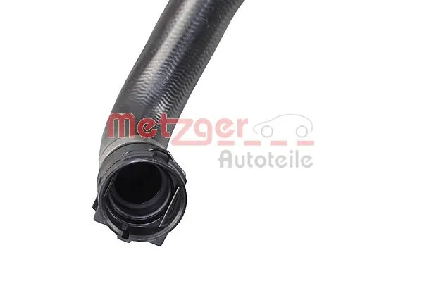 Radiator Hose