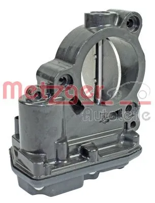 Throttle Body (0892351)