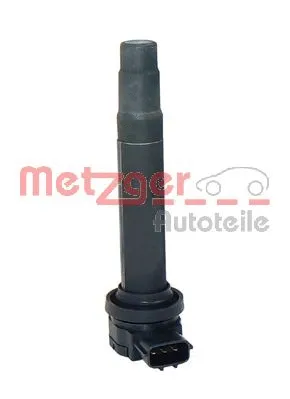 Ignition Coil (0880075)