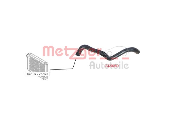 Radiator Hose (2420059)