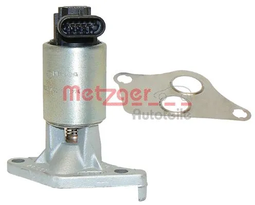 EGR Valve (0892010)