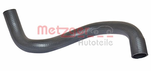 Radiator Hose (2420401)