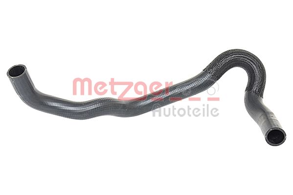 Radiator Hose (2420019)