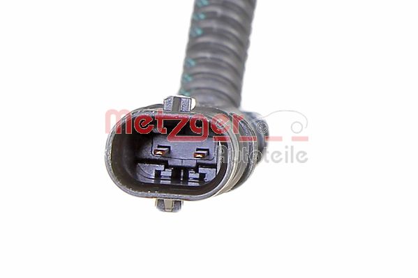 Oil Pump (8000066)
