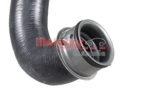 Radiator Hose
