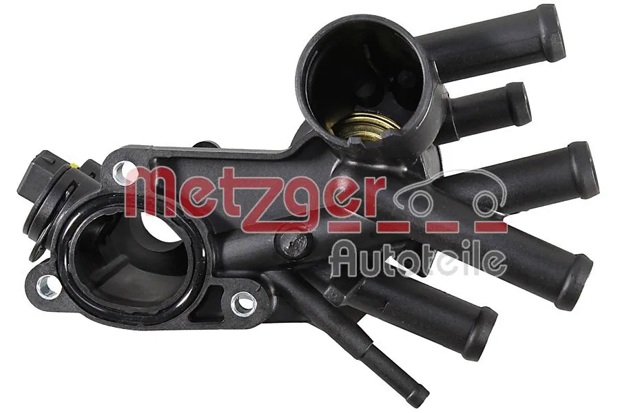 Thermostat, coolant