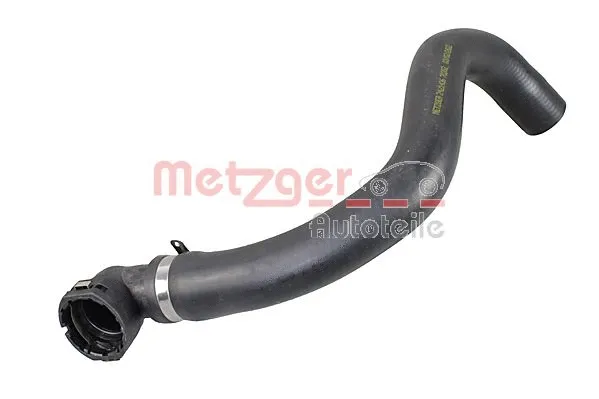 Radiator Hose (2421436)