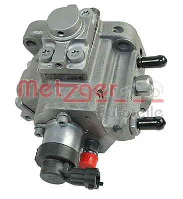 High Pressure Pump (0830069)