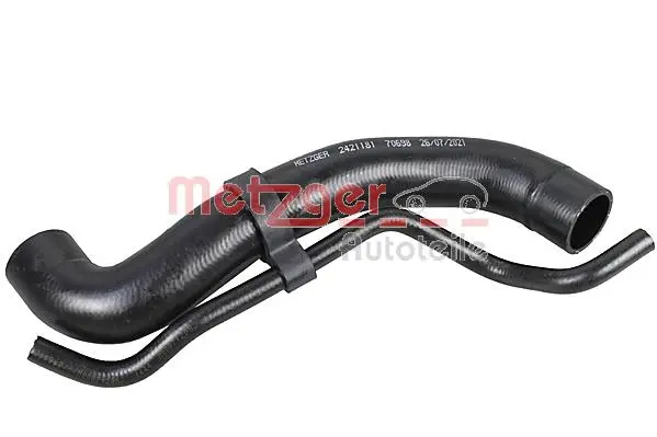 Radiator Hose (2421181)