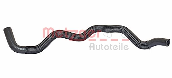 Radiator Hose