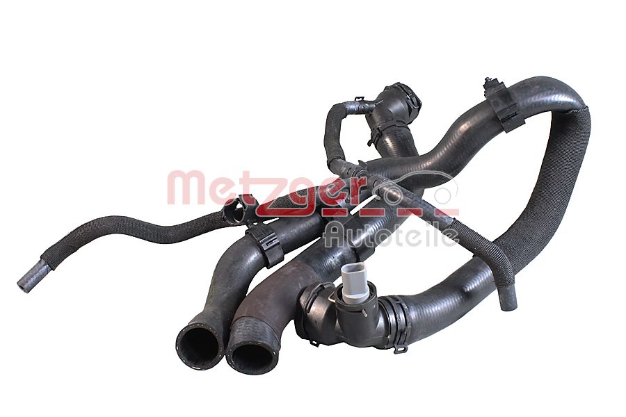 Radiator Hose (2421560)