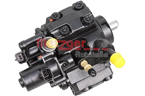 High Pressure Pump (0830139)