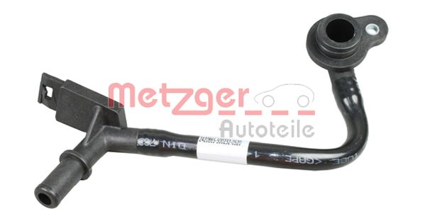 Radiator Hose (2420865)